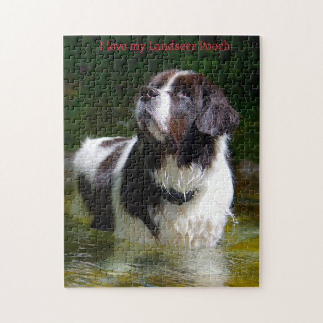 Puzzle Perro Landseer. (Vertical)