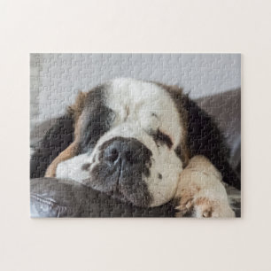 Puzzle Perro Lazy Saint Bernard