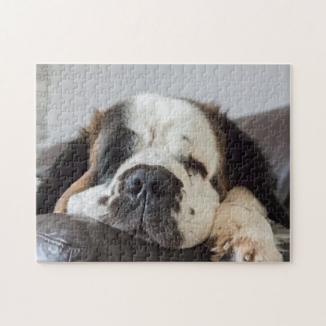 Puzzle Perro Lazy Saint Bernard (Horizontal)