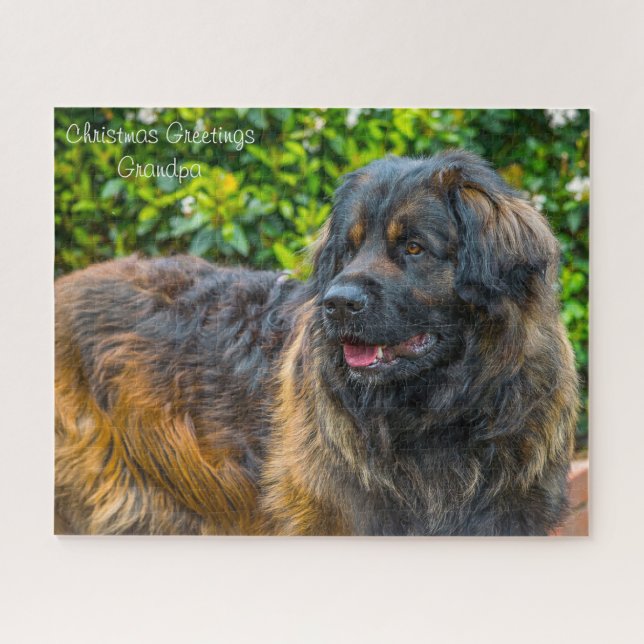 Puzzle Perro Leonberger. (Horizontal)
