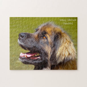 Puzzle Perro Leonberger.