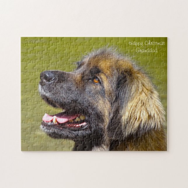 Puzzle Perro Leonberger. (Horizontal)