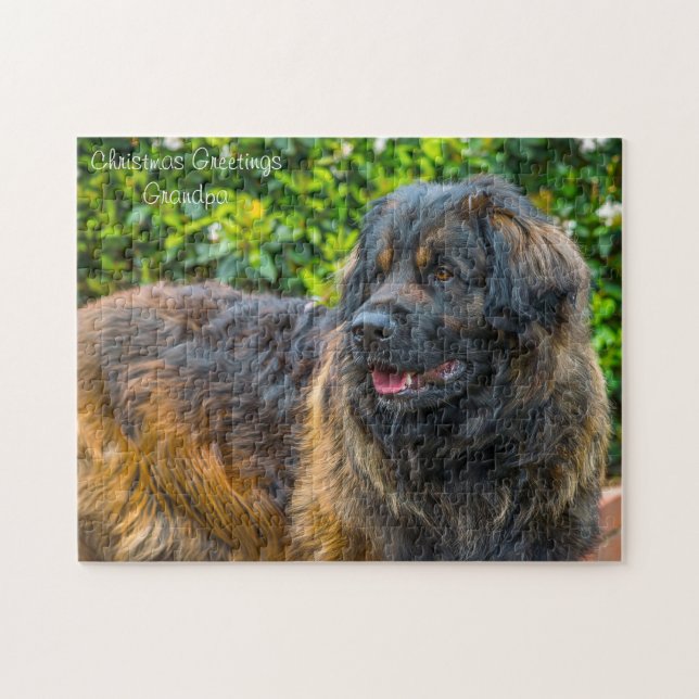 Puzzle Perro Leonberger. (Horizontal)