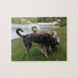 Puzzle Perro leopardo de Catahoula y picadura de perro de
