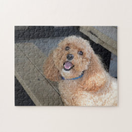 Puzzle Perro lindo Cockapoo Raza Mejor Amigo Mascota Anim