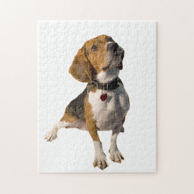 Puzzle Perro lindo del beagle (Vertical)