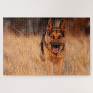 Puzzle Perro macho de Shephard alemán