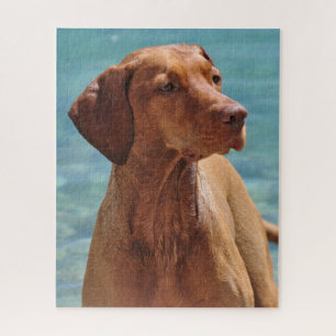 Puzzle Perro Magyar Vizsla