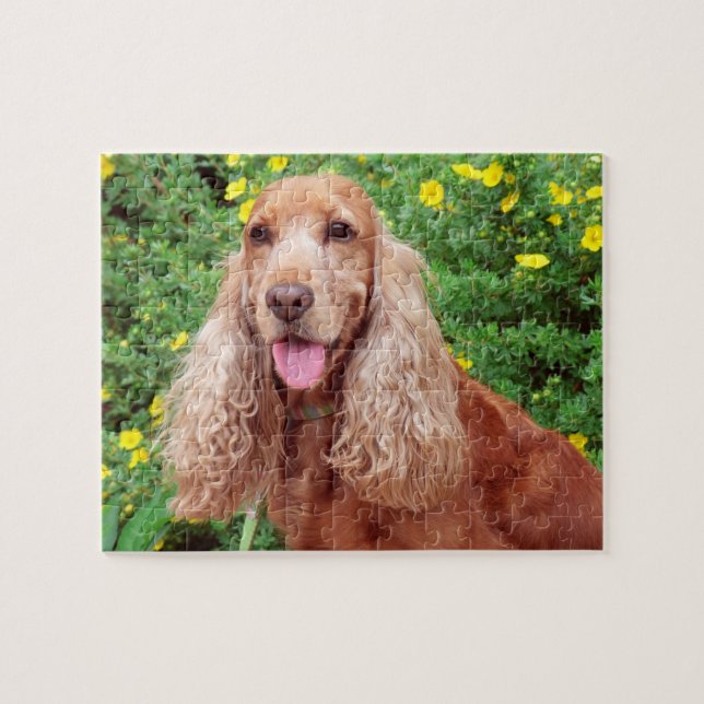 Puzzle Perro marrón esponjoso (Horizontal)
