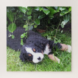 Puzzle perro, mascota, lindo, animal, raza, rompecabezas,