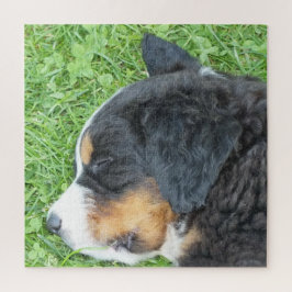 Puzzle perro, mascota, lindo, animal, raza, rompecabezas,