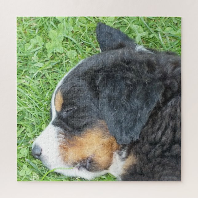 Puzzle perro, mascota, lindo, animal, raza, rompecabezas, (Vertical)