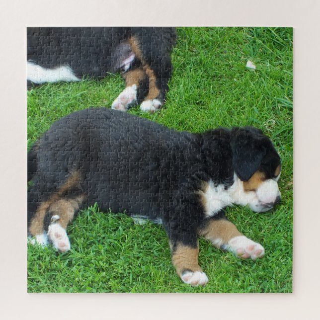 Puzzle perro, mascota, lindo, animal, raza, rompecabezas, (Vertical)