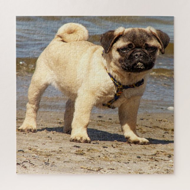 Puzzle perro, mascota, lindo, animal, raza, rompecabezas, (Vertical)