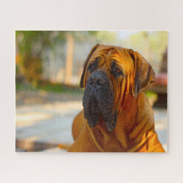 Puzzle Perro Mastiff. (Horizontal)
