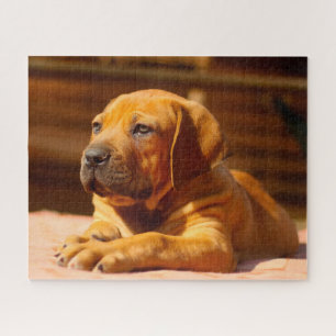 Puzzle Perro Mastín.