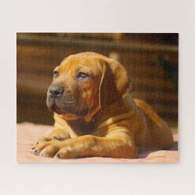 Puzzle Perro Mastín. (Horizontal)