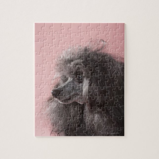 Puzzle Perro mirando lejos (Vertical)