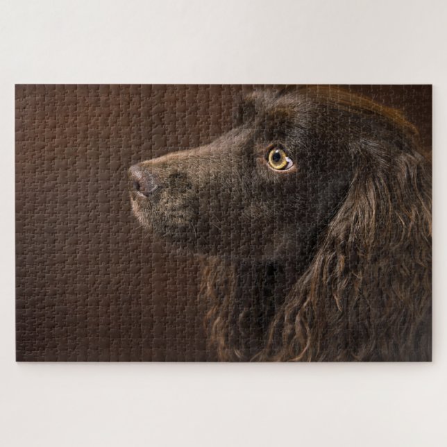 Puzzle Perro moreno (Horizontal)