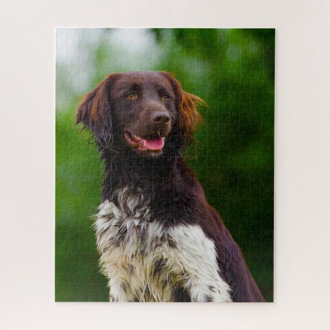 Puzzle Perro Munsterlander. (Vertical)