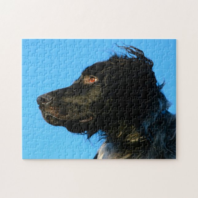 Puzzle Perro Munsterlander. (Horizontal)
