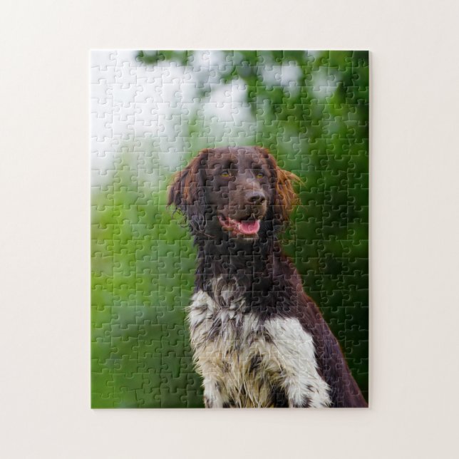 Puzzle Perro Munsterlander. (Vertical)