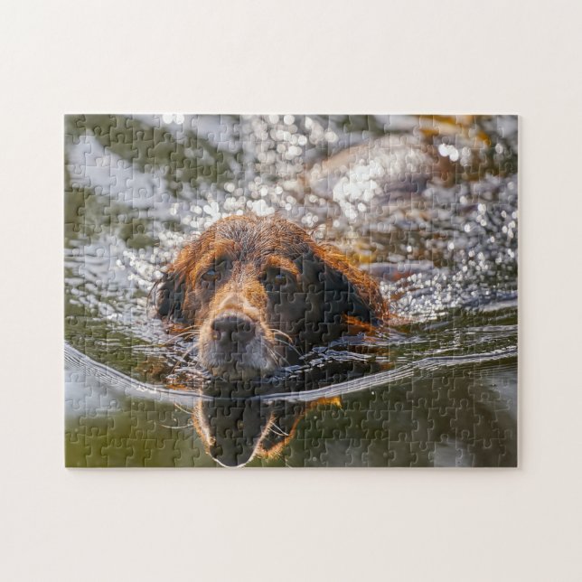 Puzzle Perro Munsterlander. (Horizontal)