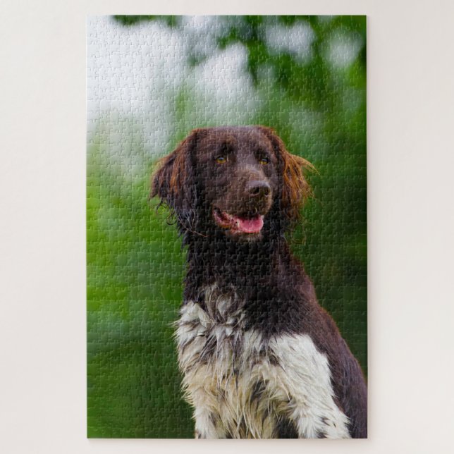 Puzzle Perro Munsterlander. (Vertical)