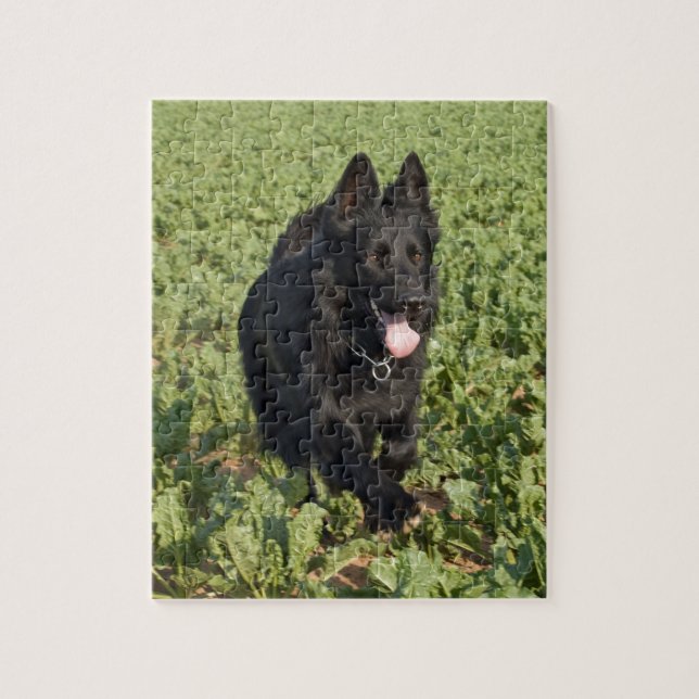 Puzzle Perro negro (Vertical)