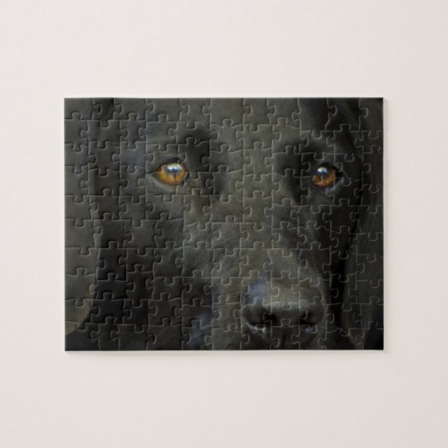 Puzzle Perro negro de Labrador (Horizontal)