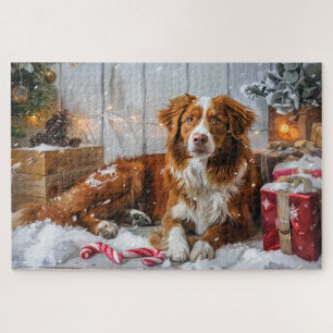 Puzzle Perro Nova Scotia Duck Tolling Retriever Festivida