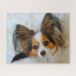 Puzzle Perro Papillon.