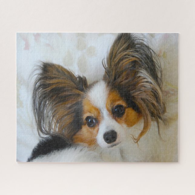 Puzzle Perro Papillon. (Horizontal)