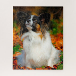 Puzzle Perro Papillón.