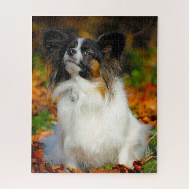 Puzzle Perro Papillon. (Vertical)
