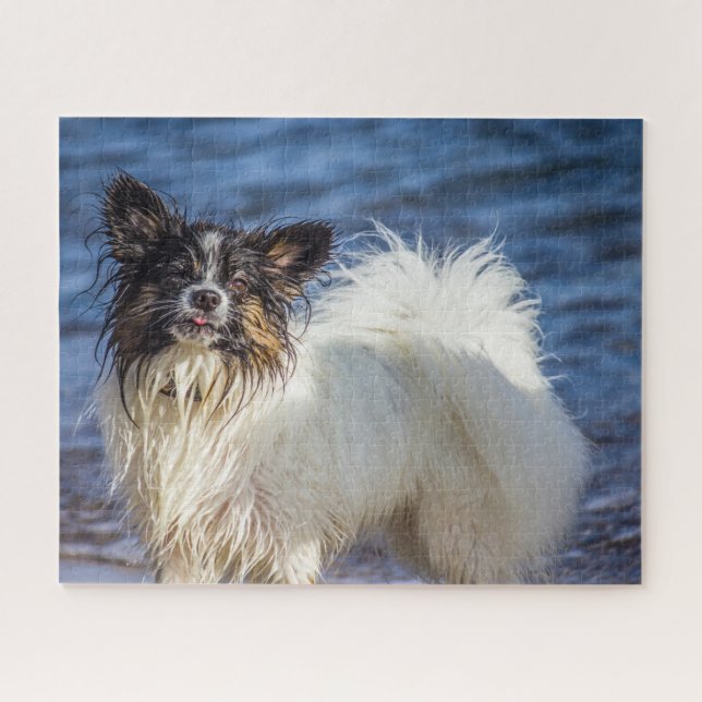 Puzzle Perro Papillon. (Horizontal)