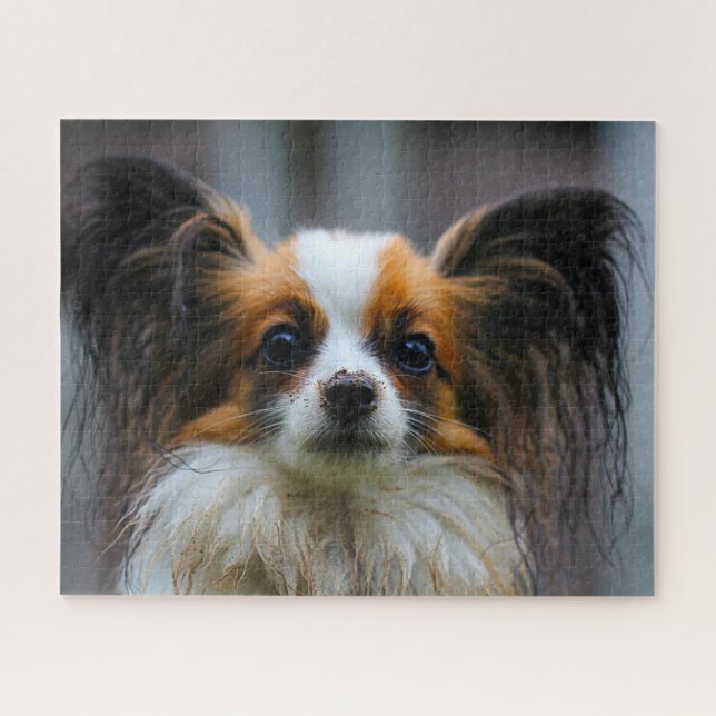 Puzzle Perro Papillón. (Horizontal)