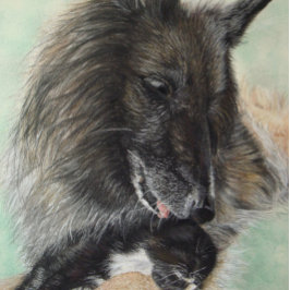 Puzzle perro pastor belga acurrucarse gatito negro