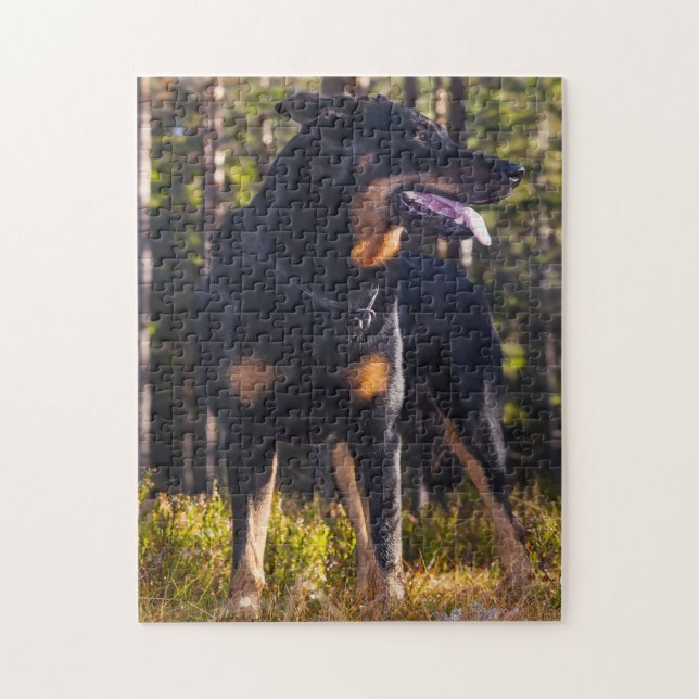 Puzzle Perro pastor de Beauceron. (Vertical)