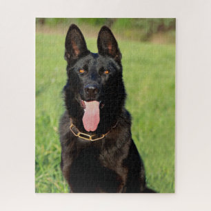 Puzzle Perro pastor negro alemán - Cachorro GSD