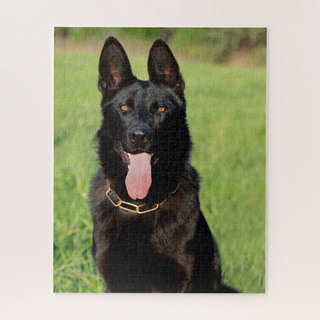 Puzzle Perro pastor negro alemán - Cachorro GSD (Vertical)