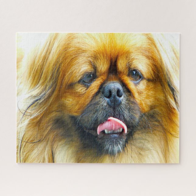 Puzzle Perro pekinés. (Horizontal)