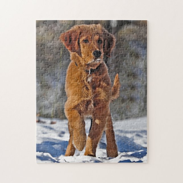 Puzzle Perro picante de Golden Retriever en la nieve (Vertical)