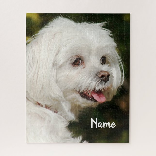 Puzzle Perro picante maltés blanco personalizado (Vertical)