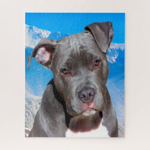 Puzzle Perro Pitbull.