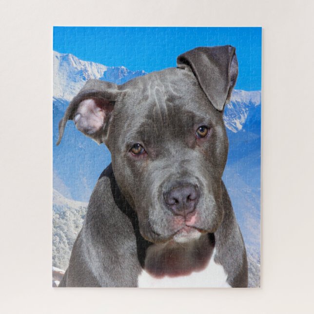 Puzzle Perro Pitbull. (Vertical)