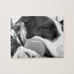Puzzle perro pitbull negro y blanco con pelota de aspecto