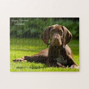 Puzzle Perro Pointer Alemán.