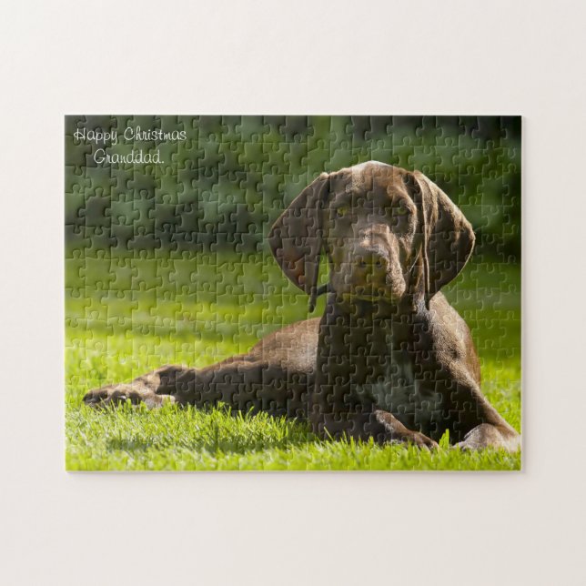 Puzzle Perro Pointer Alemán. (Horizontal)