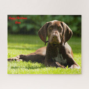Puzzle Perro Pointer Alemán.